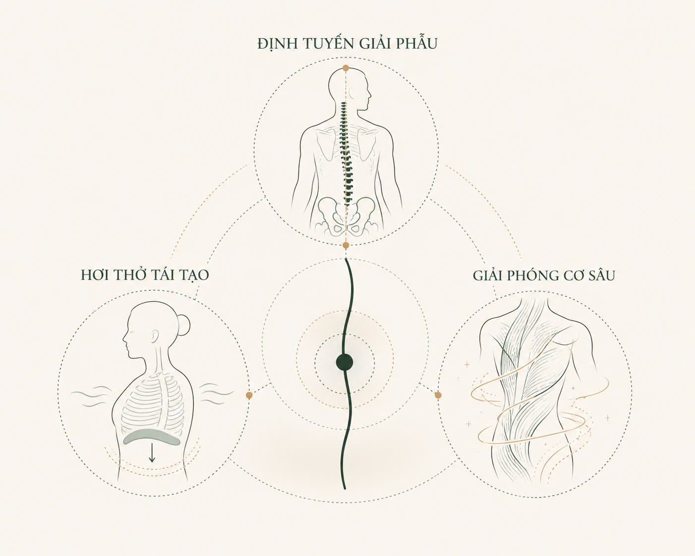 Yoga Nurse - Phương pháp phục hồi 3 trụ cột chuyên biệt cho nhân viên y tế